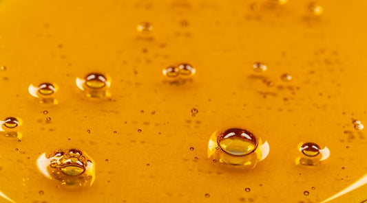 ¿Qué es la Lecitina?