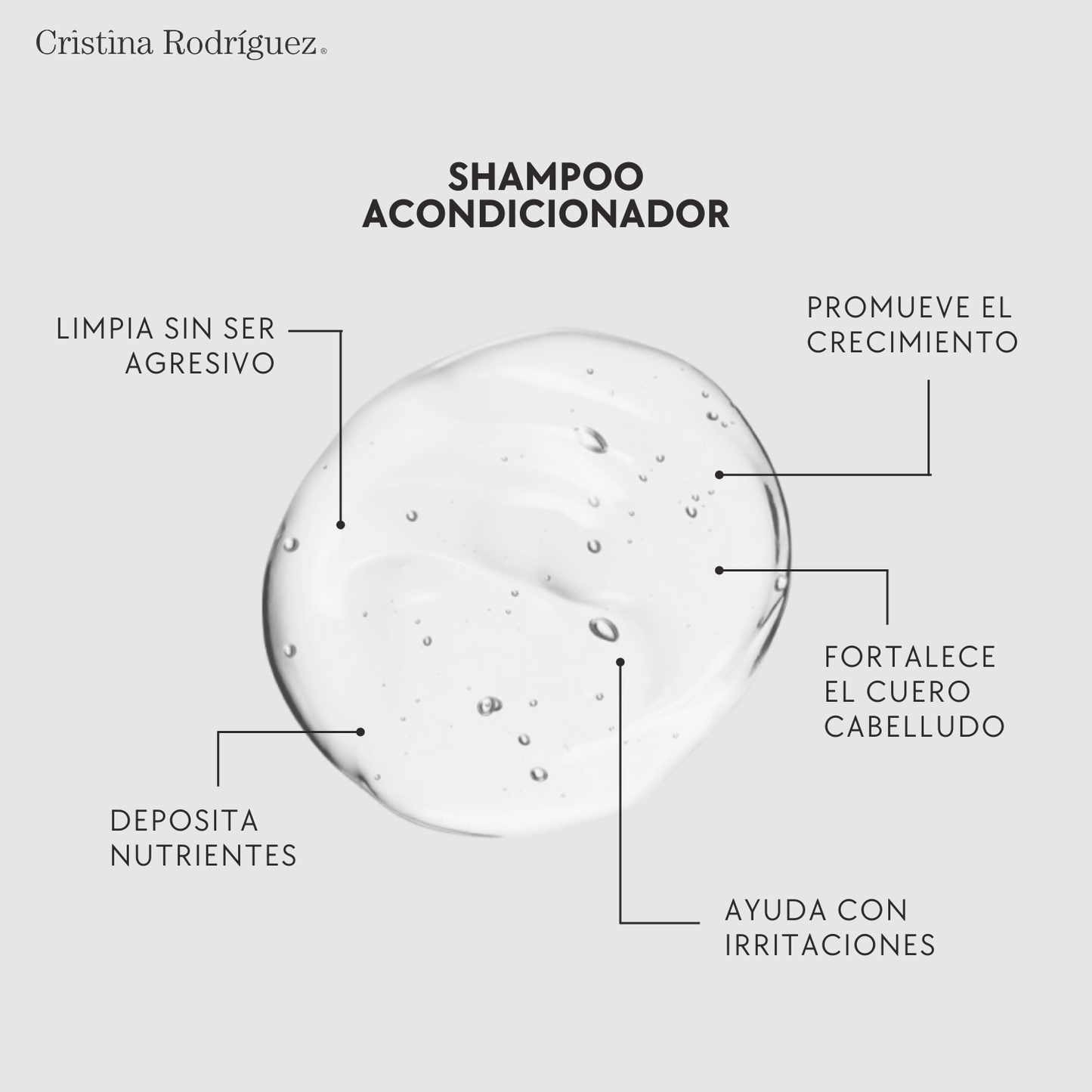 Shampoo Acondicionador Reestructurante