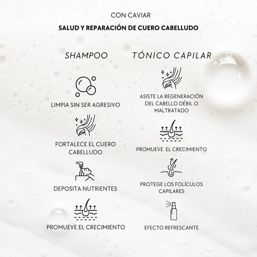 Kit de Shampoo Acondicionador y Tónico Capilar