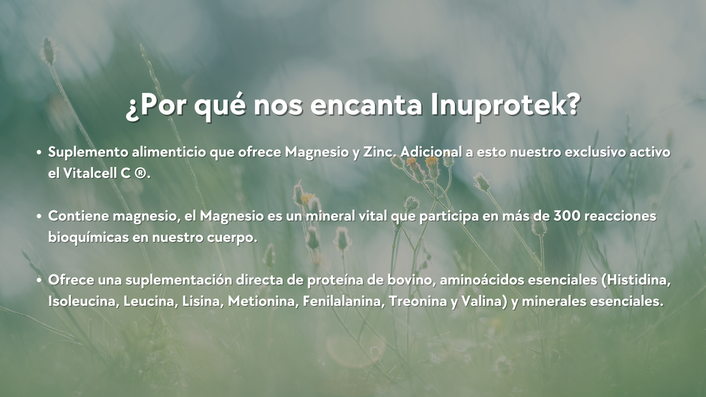 Inµprotek ® (Zinc y Magnesio)