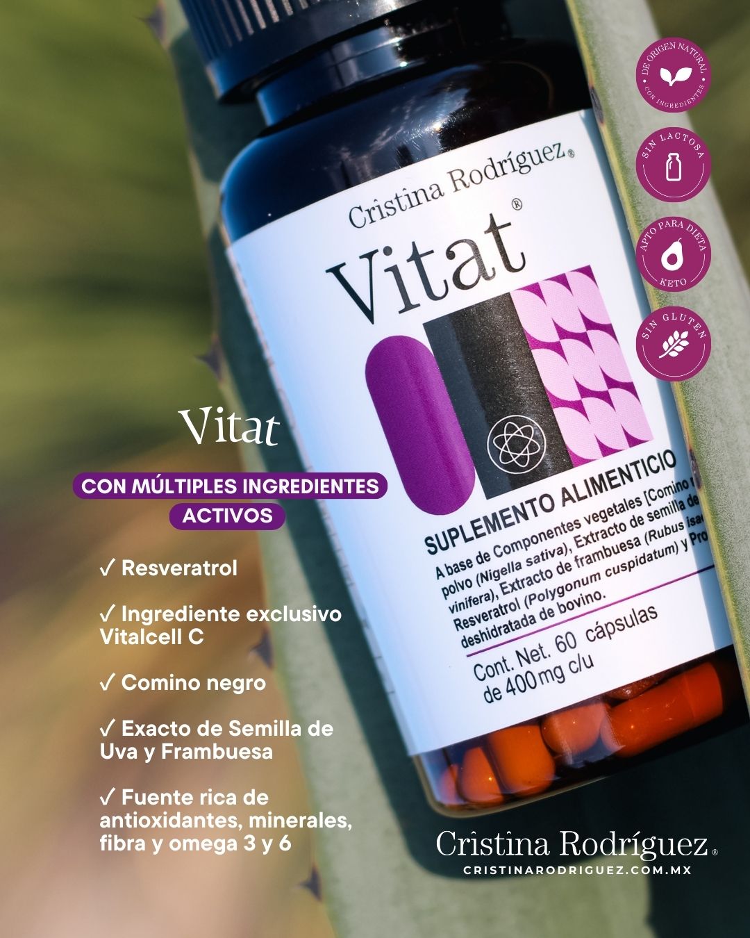 Vitat ® (Resveratrol)